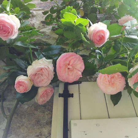 B&B Maison Coralie Sainte-Christine  Екстериор снимка